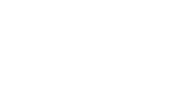 FIMM